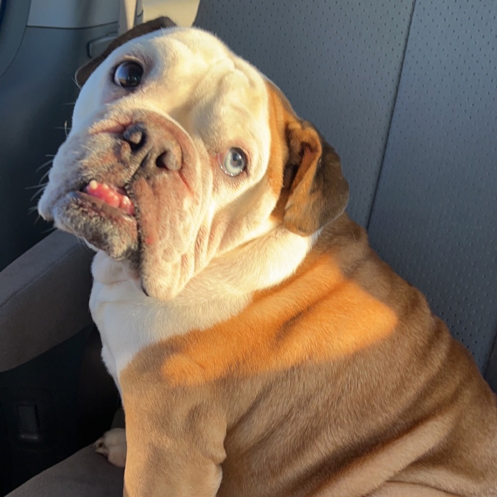 COPY - Meet your Posher, Dannah